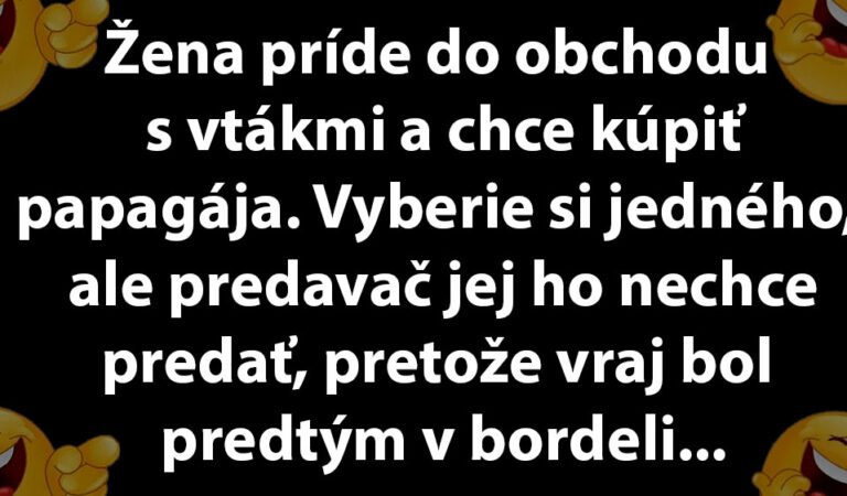 TOPVTIP: Žena si kúpi papagája, ktorý sa nevie správať…