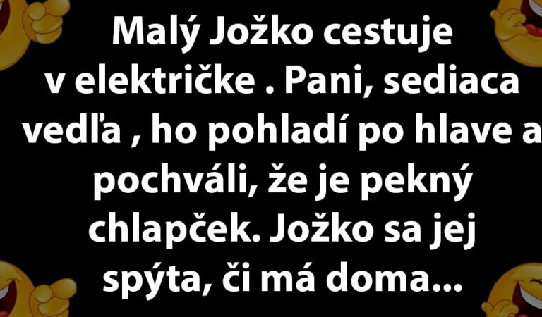 VTIP DŇA: Chlapček sa pýta cudzej ženy, s akým vtákom to skúšala…