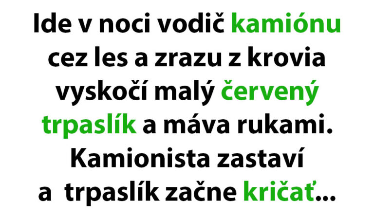 Vodiča kamiónu zaskočí v noci malý trpaslík…(TOPVTIP)