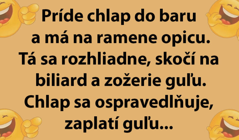 MEGAVTIP: Muž si do baru zoberie opicu, ktorá všetko zožerie…