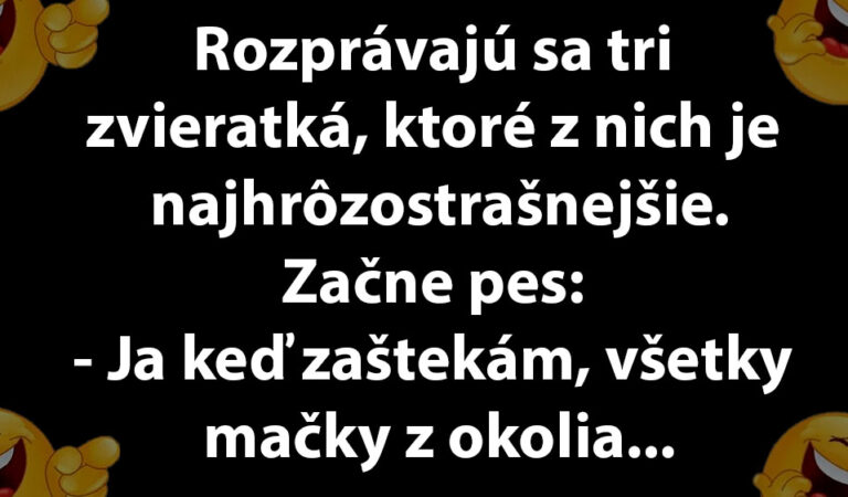 VTIP DŇA: Zvieratá si hovoria, ktoré z nich je najhrôzostrašnejšie…